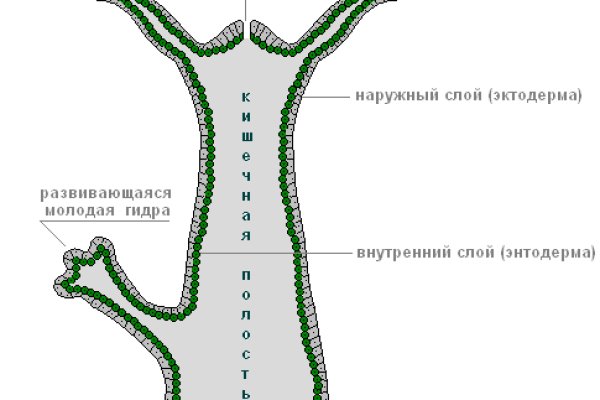 Кракен сайт официальный ссылка kraken clear com